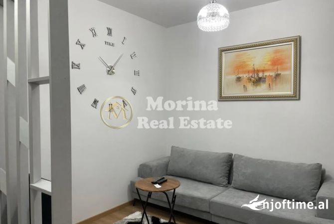Shtepi me qera 1+1 ne Tirane - 450 Euro