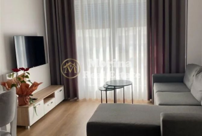 Shtepi me qera Apartament ne Tirane, 2+1, Mobilimi E mobiluar, Pagesa 550  Euro.