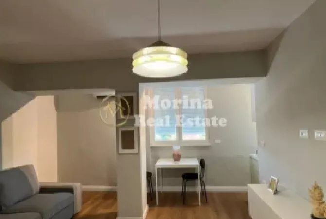 Shtepi me qera 1+1 ne Tirane - 400 Euro