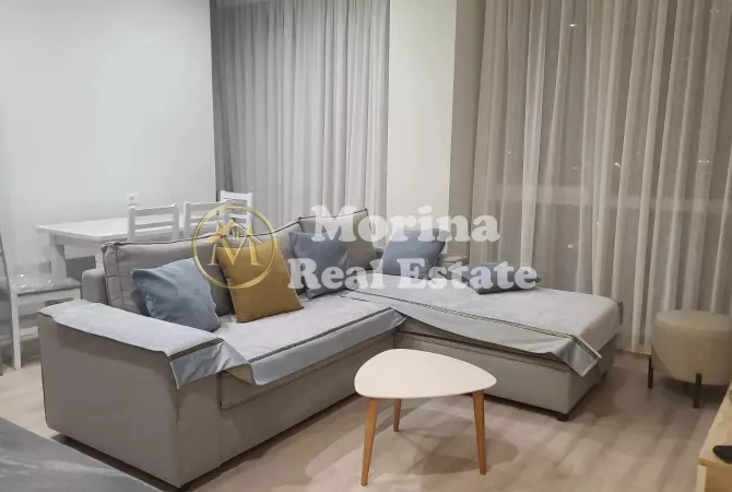 Apartment for rent in Tirana 1+1, Furnished