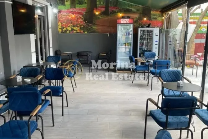 Ambient biznesi ne shitje 2+1 ne Tirane - 150,000 Euro