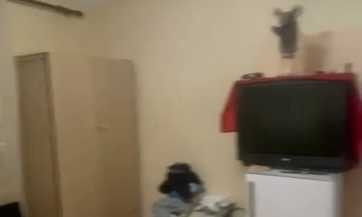 Foto 5