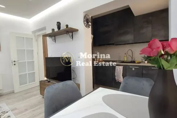 Apartment for rent in Tirana 1+1, Furnished