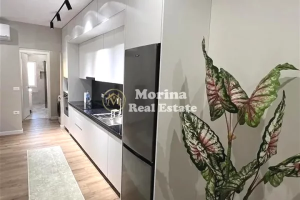 Apartment for rent in Tirana 1+1, Furnished