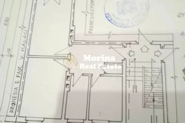 Shitet Ambient Biznesi, Stadiumi Dinamo 490.000 Euro