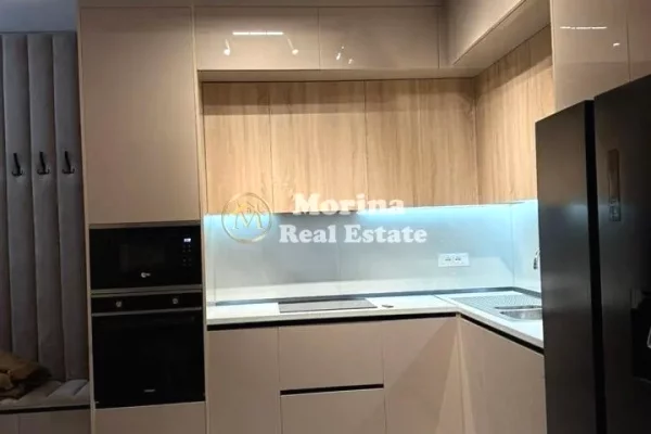 Apartment for rent in Tirana 1+1, Furnished