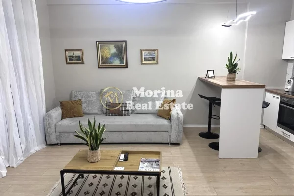 Apartment for rent in Tirana 1+1, Furnished