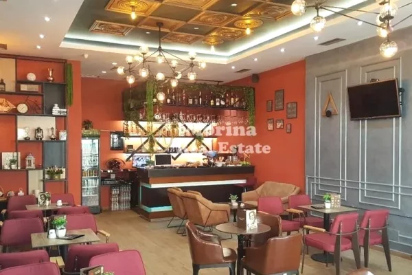 Ambient biznesi ne shitje 2+1 ne Tirane - 100,000 Euro