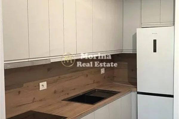 Shtepi me qera 1+1 ne Tirane - 450 Euro