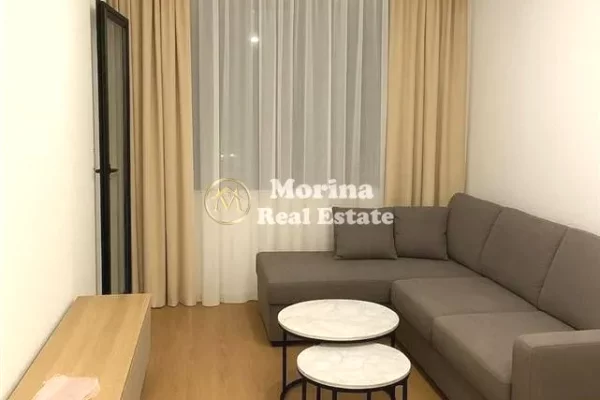 Shtepi me qera 1+1 ne Tirane - 450 Euro