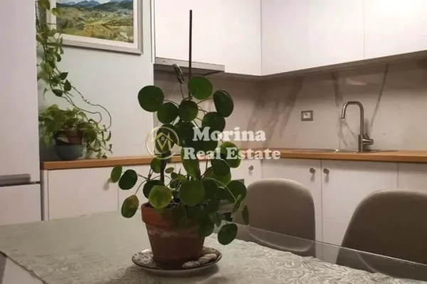 Shtepi me qera 1+1 ne Tirane - 550 Euro