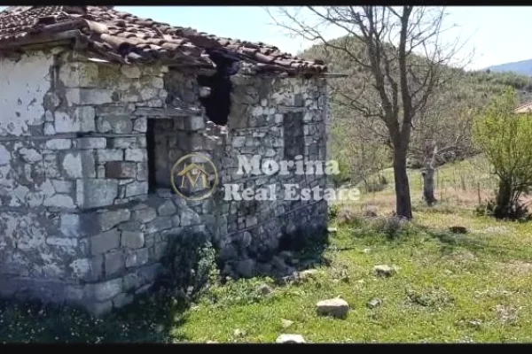 Truall ose Toke ne Tirane - 91,000 Euro