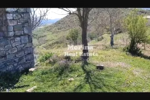 Truall ose Toke ne Tirane - 91,000 Euro