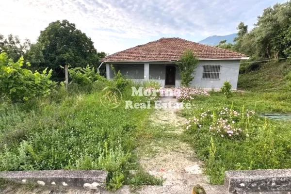 Truall ose Toke ne Tirane - 345,000 Euro