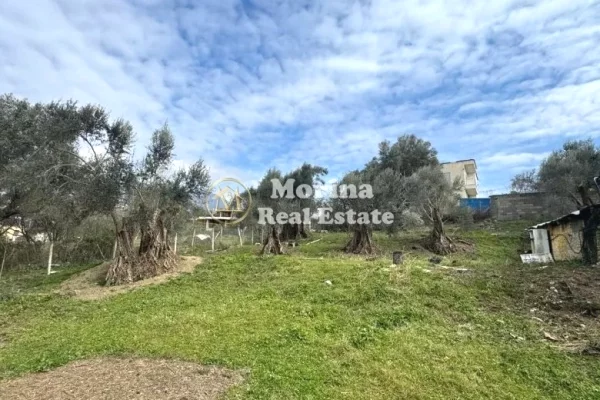 Truall ose Toke ne Tirane - 345,000 Euro