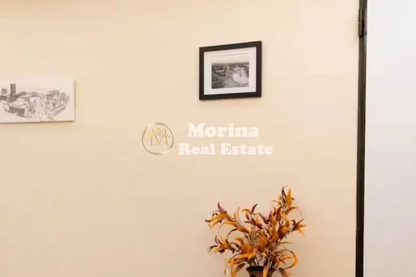 Ambient biznesi me qera 3+1 ne Tirane - 480 Euro