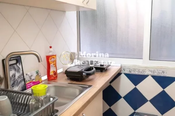 Ambient biznesi me qera 3+1 ne Tirane - 480 Euro