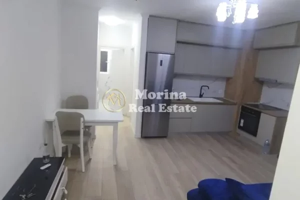 Shtepi me qera Apartament ne Tirane, 1+1, Mobilimi E mobiluar, Pagesa 450  Euro.