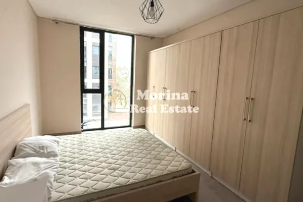 Apartment for rent in Tirana 1+1, Furnished