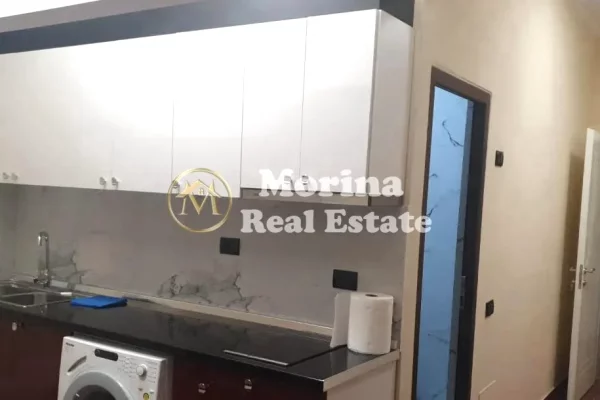 Luxury villas for rent in Tirana 1+1, Furnished