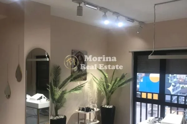 Ambient biznesi me qera 3+1 ne Tirane - 750 Euro