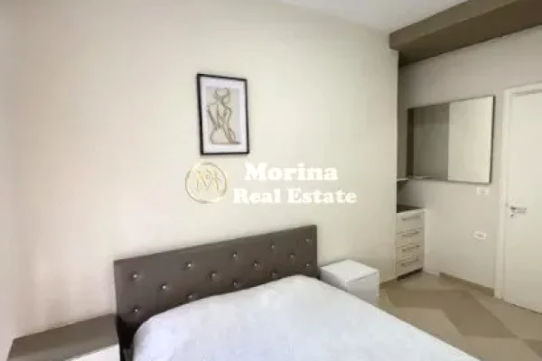 Shtepi me qera 1+1 ne Tirane - 400 Euro