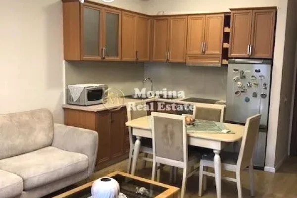 Shtepi me qera 1+1 ne Tirane - 370 Euro