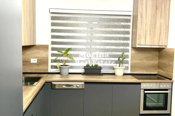 Shtepi me qera Apartament ne Tirane, 1+1, Mobilimi E mobiluar, Pagesa 600  Euro.