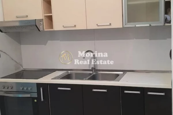 Shtepi me qera 1+1 ne Tirane - 350 Euro