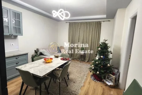 Shtepi me qera Apartament ne Tirane, 1+1, Mobilimi E mobiluar, Pagesa 500  Euro.