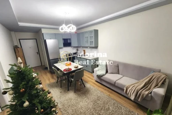 Shtepi me qera Apartament ne Tirane, 1+1, Mobilimi E mobiluar, Pagesa 500  Euro.