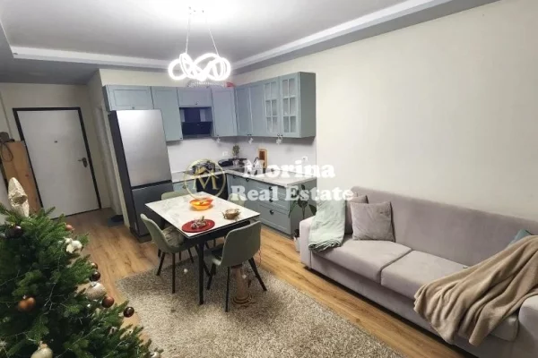 Shtepi me qera Apartament ne Tirane, 1+1, Mobilimi E mobiluar, Pagesa 500  Euro.