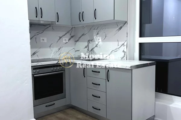 Shtepi me qera 1+1 ne Tirane - 350 Euro