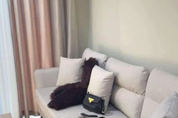 Shtepi me qera Apartament ne Tirane, 2+1, Mobilimi E mobiluar, Pagesa 600  Euro.