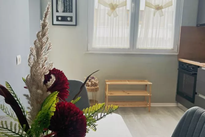 Apartment for rent in Tirana 1+1, Furnished