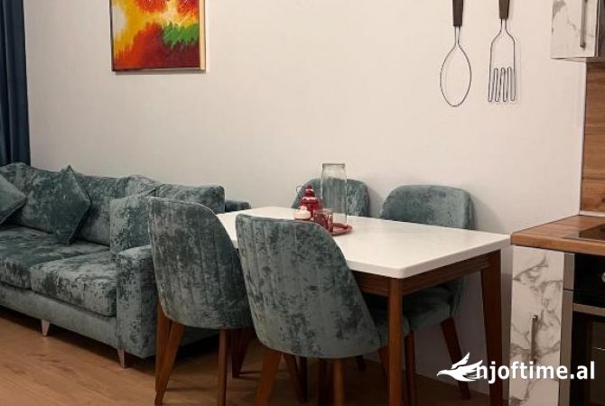 Shtepi me qera Apartament ne Tirane, 1+1, Mobilimi E mobiluar, Pagesa 500  Euro.
