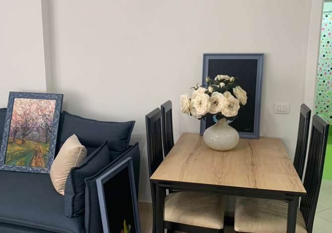 Shtepi me qera  ne Tirane, 1+1, Mobilimi E mobiluar, Pagesa 350  Euro.