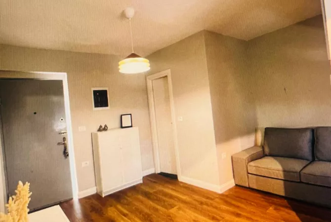 Apartment for rent in Tirana 1+1, Furnished
