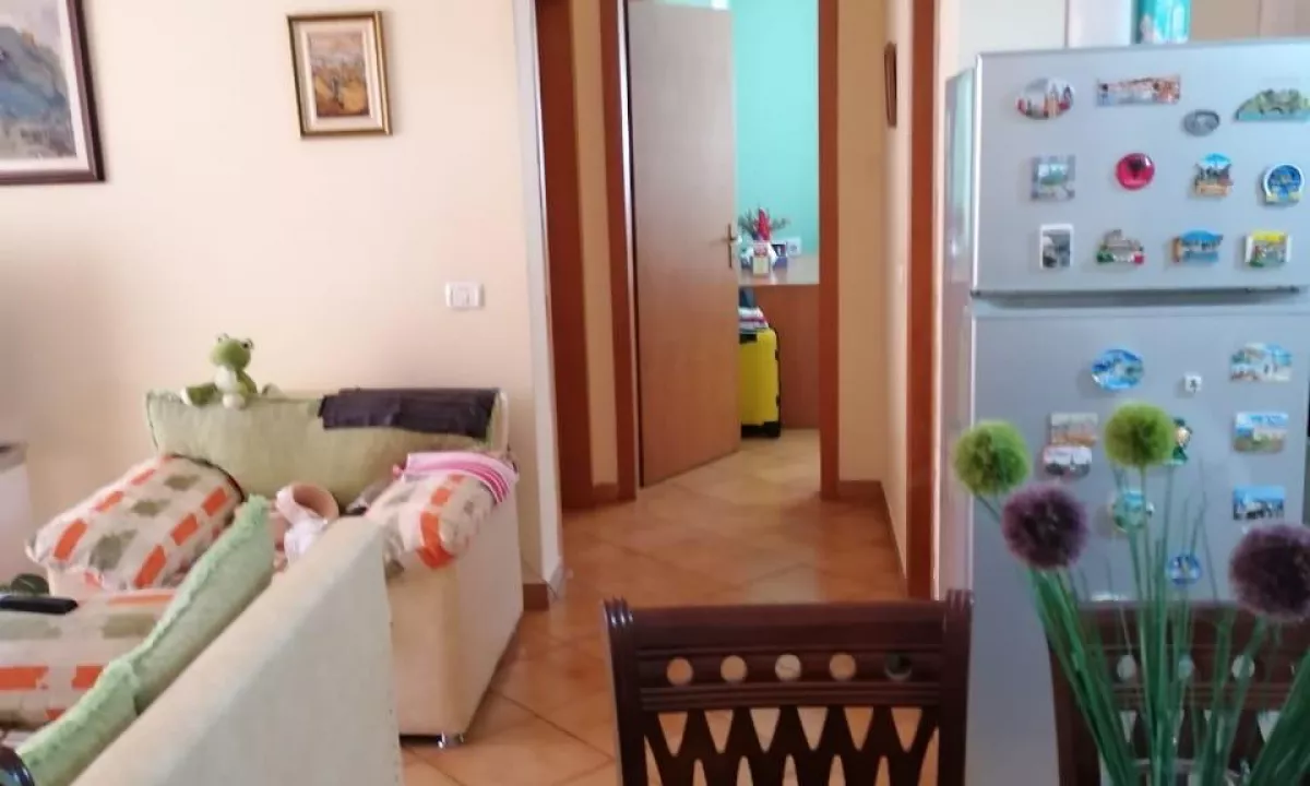 Foto 7