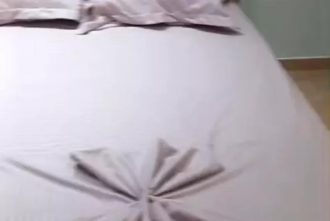 Shtepi me qera Apartament ne Tirane, 1+1, Mobilimi E mobiluar, Pagesa 55,000  Leke.