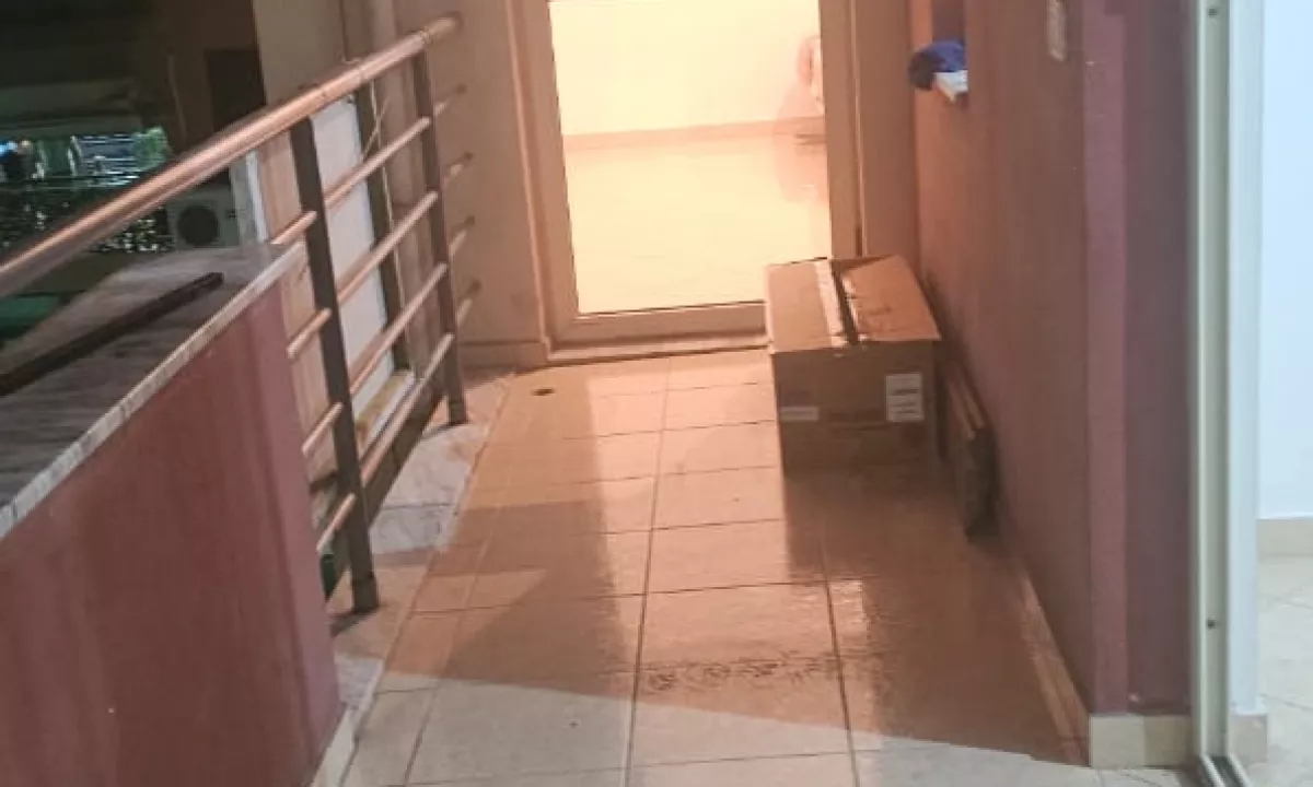 Foto 5