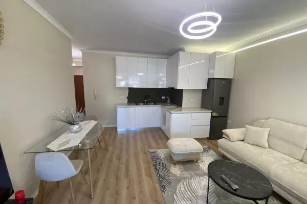 Shtepi me qera Apartament ne Tirane, 1+1, Mobilimi E mobiluar, Pagesa 65,000  Leke.