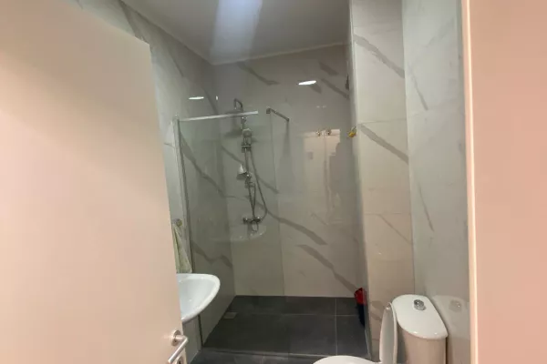 Shtepi me qera Apartament ne Tirane, 1+1, Mobilimi E mobiluar, Pagesa 65,000  Leke.
