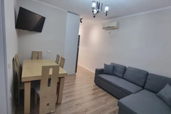 Shtepi me qera Apartament ne Tirane, 1+1, Mobilimi E mobiluar, Pagesa 55,000  Leke.