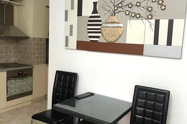 Apartment for rent in Tirana Garsoniere, Furnished