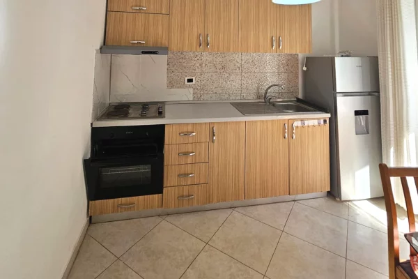 Private house for rent in Tirana 1+1, Furnished