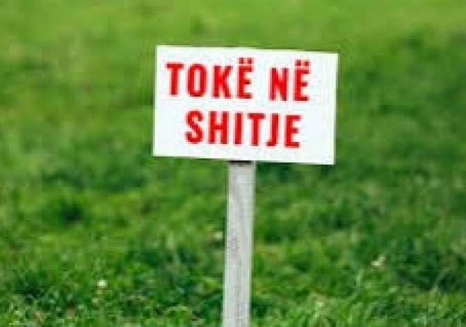 Truall ose Toke ne Tirane - 187,500 Euro