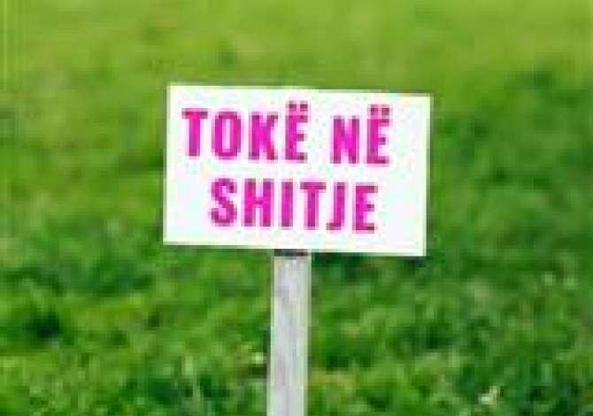 Truall ose Toke ne Tirane - 60,000 Euro