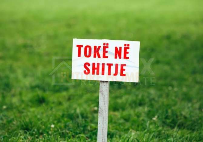 Truall ose Toke ne Tirane - 112,500 Euro