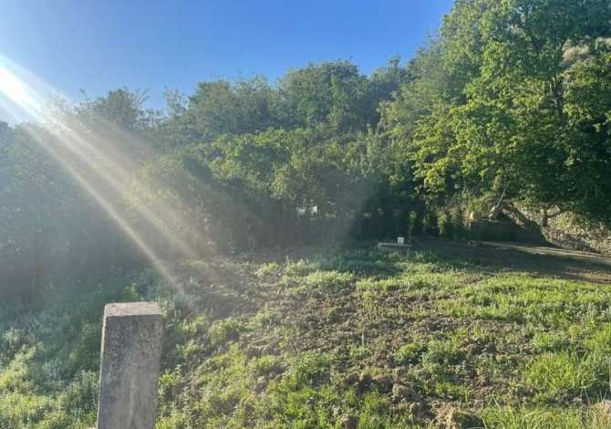 Truall ose Toke ne Tirane - 187,500 Euro